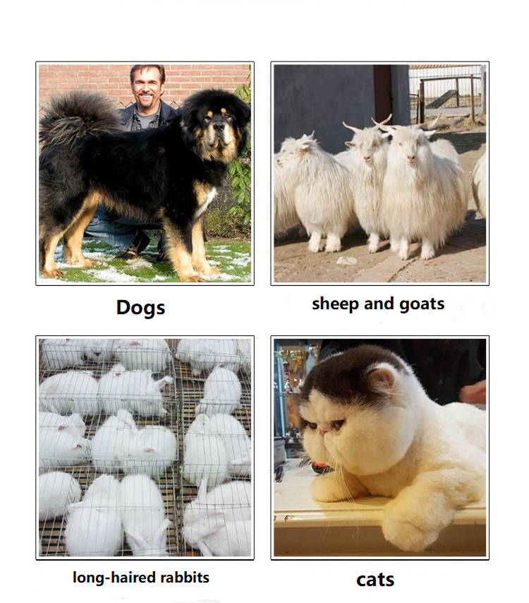 A72 Stroj za šišanje kućnih ljubimaca s kablom A72 Stroj za šišanje kućnih ljubimaca s kablom